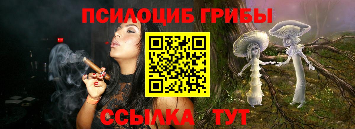 Галлюциногенные грибы мицелий  Вход с VPN  Сызрань 