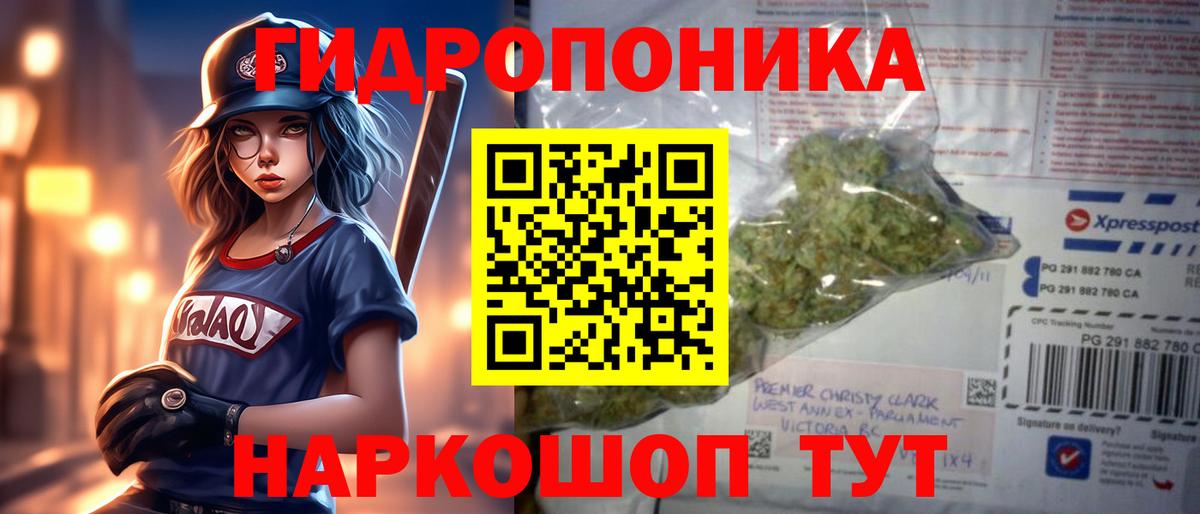 Бошки Шишки тримм  Вход с VPN  Сызрань  Шишки марихуана конопля  Конопля сатива 